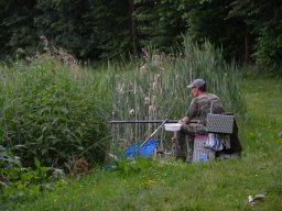 Competities HSV Alfheim